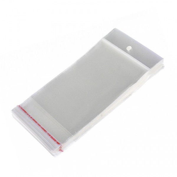 Пакет БОПП с клеевым клапаном и европодвесом